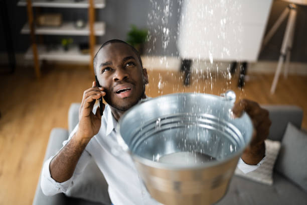 Best Local water damage restoration  in Redland, TX
