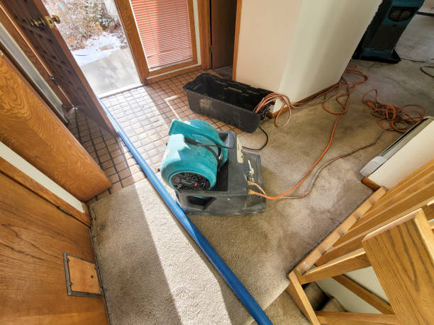 Professional Water damage restoration in Redland, TX