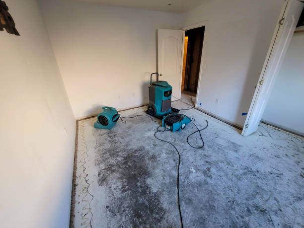  Redland, TX Water damage restoration Pros