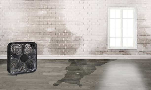 Best 24-hour water damage restoration  in Redland, TX