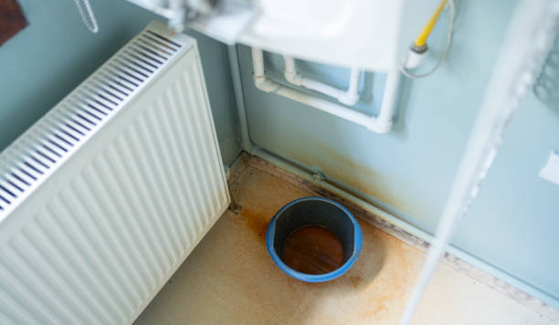 Best Basement water damage restoration  in Redland, TX