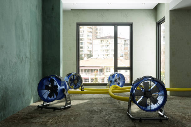 Best Water damage restoration near me  in Redland, TX